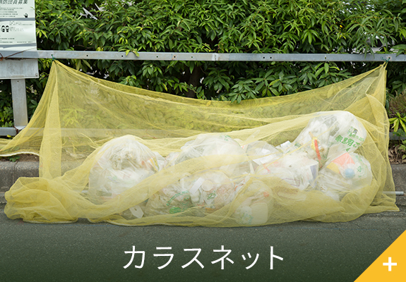 カラスネット